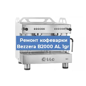 Замена прокладок на кофемашине Bezzera B2000 AL 1gr в Красноярске